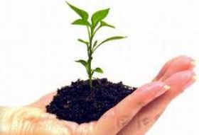 Mavikent Hizmet Binas� Bah�esi 